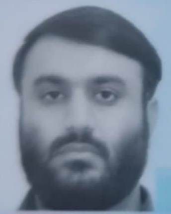 رضا داوری
