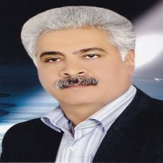 بهمن موحد پور
